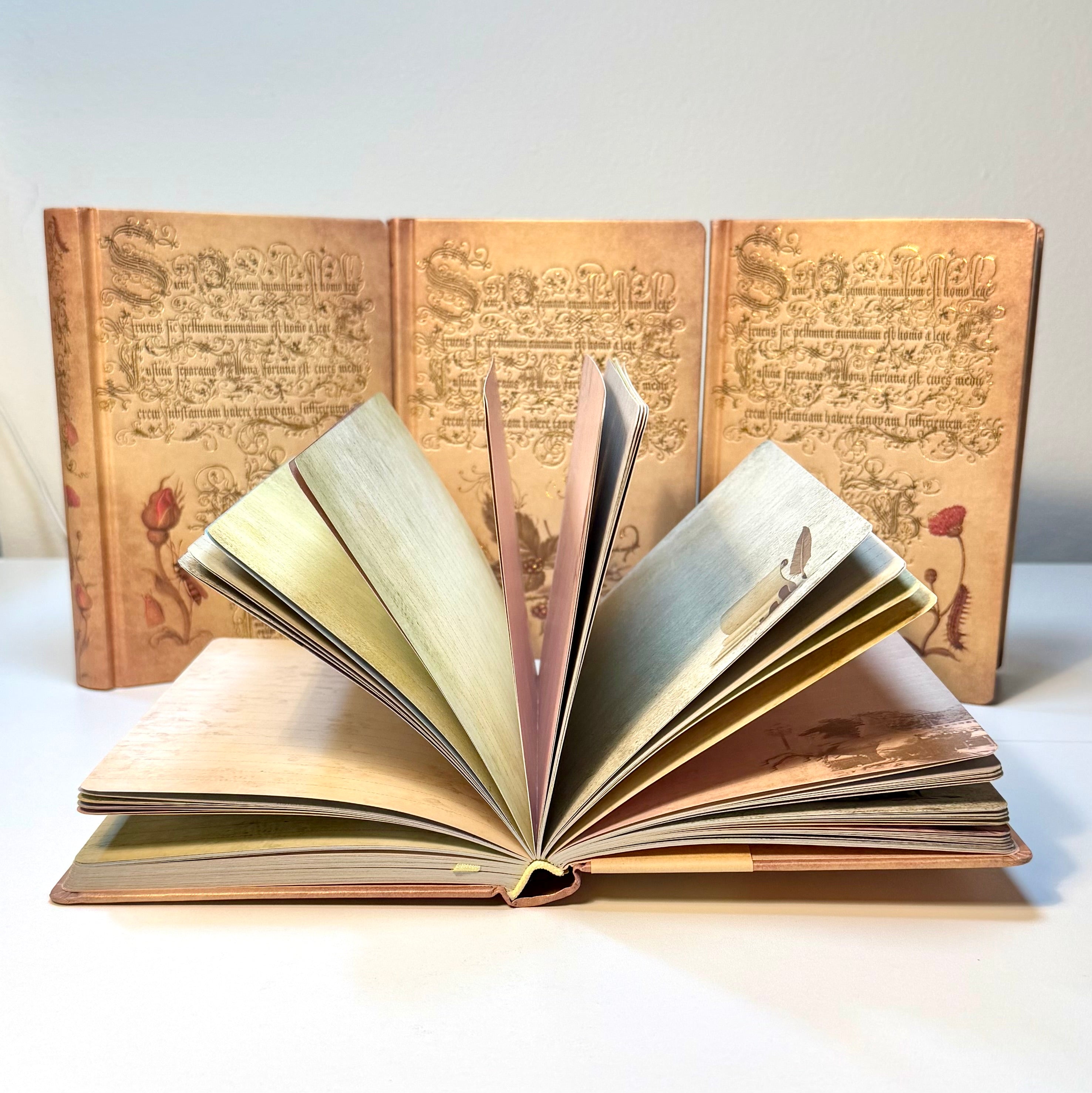 Vintage Botanical Journal