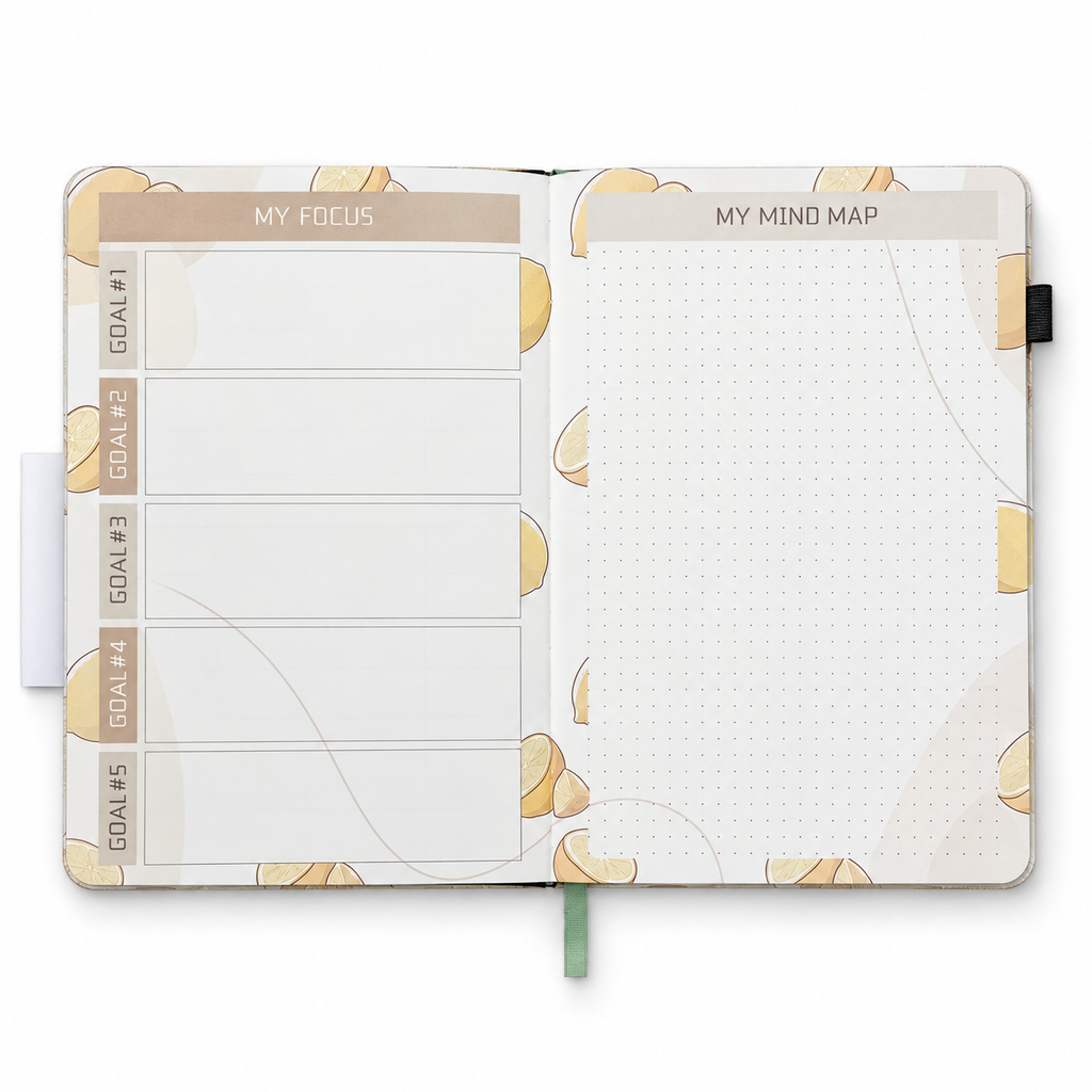 Plan & Create Collection