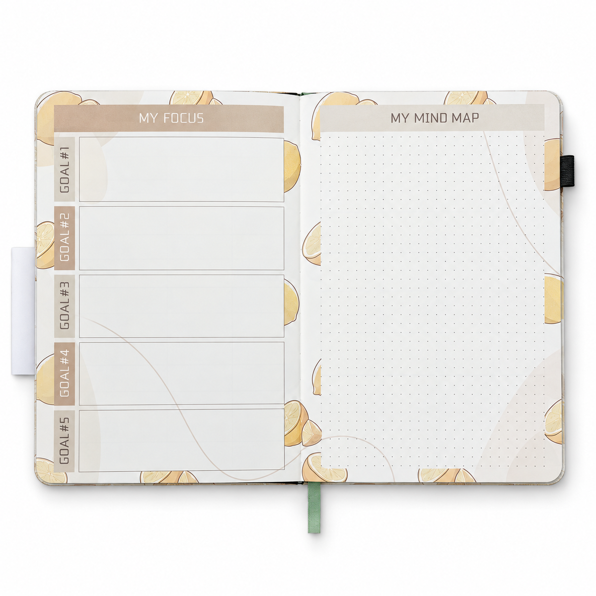 Plan & Create Collection